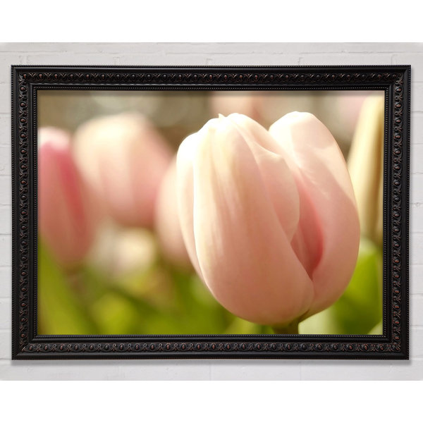 20 Stück Federmäppchen Mit Kordelzug – Rosa Samt-Stifteetuis Für Stifte, Schmuck & Kleinteile